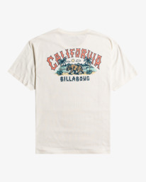 6 Arch Dreamy Place - T-Shirt voor Heren White F1SS38BIF2 Billabong
