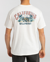 1 Arch Dreamy Place - T-Shirt voor Heren White F1SS38BIF2 Billabong