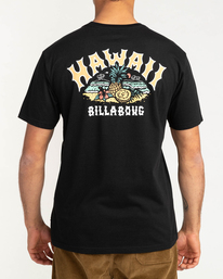 3 Arch Dreamy Place - T-shirt pour Homme  F1SS38BIF2 Billabong