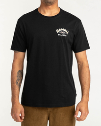 0 Arch Dreamy Place - T-shirt pour Homme  F1SS38BIF2 Billabong