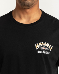 2 Arch Dreamy Place - T-shirt pour Homme  F1SS38BIF2 Billabong