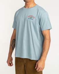 1 Arch Dreamy Place - T-Shirt voor Heren Blue F1SS38BIF2 Billabong