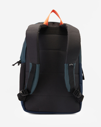 2 All Day Plus 22L - Rucksack Grün F5BP08BIF2 Billabong