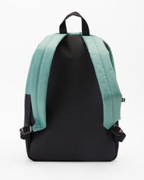 3 Sons Of Fun 22L - Backpack Multi F5BP10BIF2 Billabong