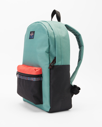 4 Sons Of Fun 22L - Backpack Multi F5BP10BIF2 Billabong