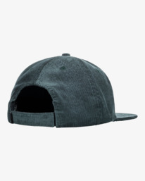 4 Bad Dog - Gorra con cincha posterior de ajuste para Hombre  F5CS01BIF2 Billabong