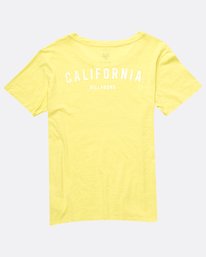 4 California Backprint Tee Gris H3SS13BIMU Billabong