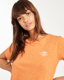 2 Timeless T-Shirt Naranja H3SS15BIMU Billabong