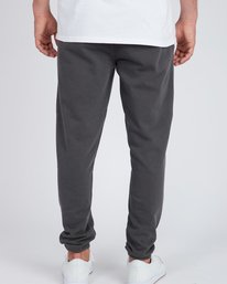 2 Reissue Fleece Pants  L1PT07BIF8 Billabong