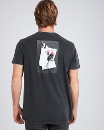 2 Dear One T-Shirt  L1SS15BIF8 Billabong