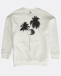 3 Wild Dude Oversized Fit Sweatshirt  L3CR08BIF8 Billabong