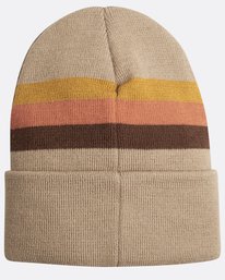 1 Disaster Gallery Beanie  L5BN07BIF8 Billabong