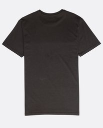 2 All Day Washed Crew T-Shirt  N1JE05BIP9 Billabong