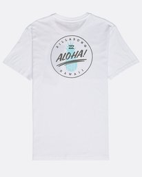 1 Alhoa Tee Ss  N1SS49BIP9 Billabong