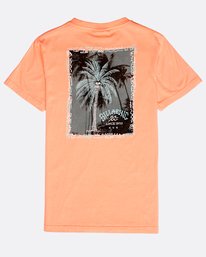 1 Boys' Get Back T-Shirt  N2SS08BIP9 Billabong