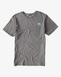 0 Companion T-Shirt  P1SS19BIS9 Billabong