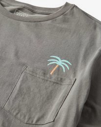 1 Companion T-Shirt  P1SS19BIS9 Billabong