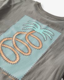 2 Companion T-Shirt  P1SS19BIS9 Billabong