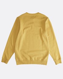 4 Cruiser - Crew Jumper for Men Yellow Q1CR04BIF9 Billabong