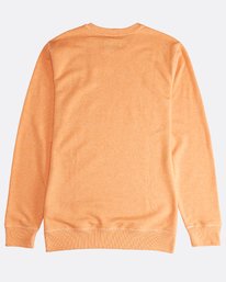 3 All Day - Crew Pullover f&uuml;r M&auml;nner Orange Q1FL01BIF9 Billabong