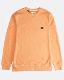 2 All Day - Crew Pullover f&uuml;r M&auml;nner Orange Q1FL01BIF9 Billabong
