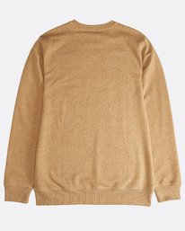 4 All Day - Crew Pullover f&uuml;r M&auml;nner Braun Q1FL01BIF9 Billabong