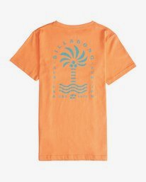 1 Palm Spin - T-Shirt für Jungen Bunt Q2SS09BIF9 Billabong