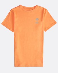 2 Palm Spin - T-Shirt f&uuml;r Jungen Bunt Q2SS09BIF9 Billabong