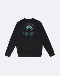 1 Shooner - Sweatshirt für Herren  S1CR04BIP0 Billabong