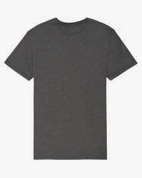 1 State Beach - T-Shirt für Herren Beige S1SS03BIP0 Billabong