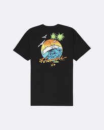 1 Dreamy Place - Camiseta para Hombre  S1SS60BIP0 Billabong