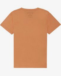 1 The Inside - Camiseta para Niño Beige S2SS14BIP0 Billabong