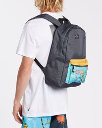 0 Lorax All Day 22L - Mittlerer Rucksack für Männer  T5BP01BIS0 Billabong