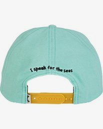 2 Swonee - Snapback Cap Green T5CM02BIS0 Billabong