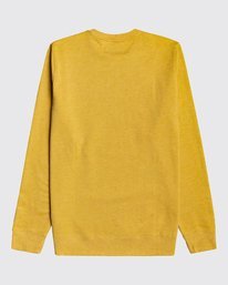 1 All Day - Sweatshirt for Men Beige U1FL03BIF0 Billabong
