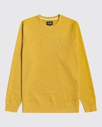 0 All Day - Sweatshirt for Men Beige U1FL03BIF0 Billabong