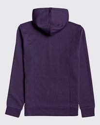 5 Original Arch - Sudadera con capucha para Hombre Violeta U1FL13BIF0 Billabong