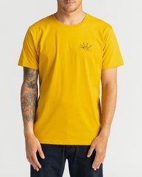 0 Peligrosa - T-Shirt for Men Beige U1SS84BIF0 Billabong