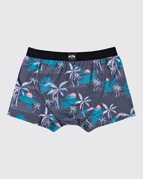 1 Ron Underwear - Boxers para Hombre  U1UN01BIF0 Billabong