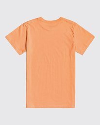 1 Inversed - T-Shirt for Boys  U2SS10BIF0 Billabong