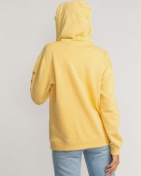 2 Stocked - Hoodie for Women Grey U3HO15BIF0 Billabong