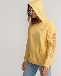 1 Stocked - Hoodie for Women Grey U3HO15BIF0 Billabong