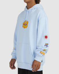 5 Skeggs Flame Friends - Hoodie voor Heren  UBYFT00218 Billabong