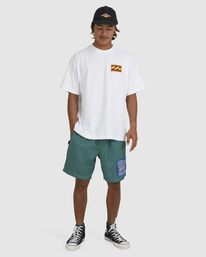 6 Skegss Box - T-Shirt for Men White UBYZT00360 Billabong