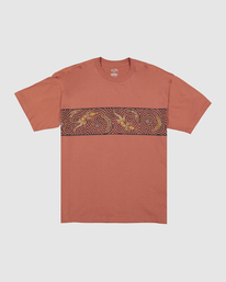 5 Otis Goanna Dreaming - T-shirt para Homem  UBYZT00418 Billabong