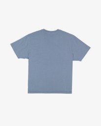 6 Spec 73 Legacy Bl&aring; UBYZT00827 Billabong