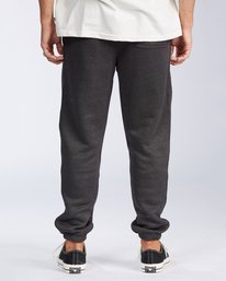 1 Hudson - Joggers for Men  V1PT04BIW0 Billabong