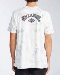 1 Arch Tie-Dye - T-Shirt for Men  V1SS18BIW0 Billabong