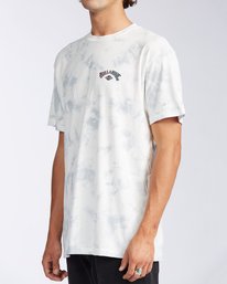 2 Arch Tie-Dye - T-Shirt for Men  V1SS18BIW0 Billabong
