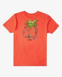 1 Palm Grinch - T-Shirt for Boys  V2SS03BIW0 Billabong